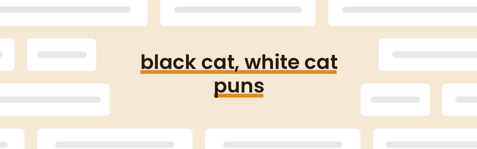 black cat, white cat puns - best black cat, white cat puns for 2024 puns