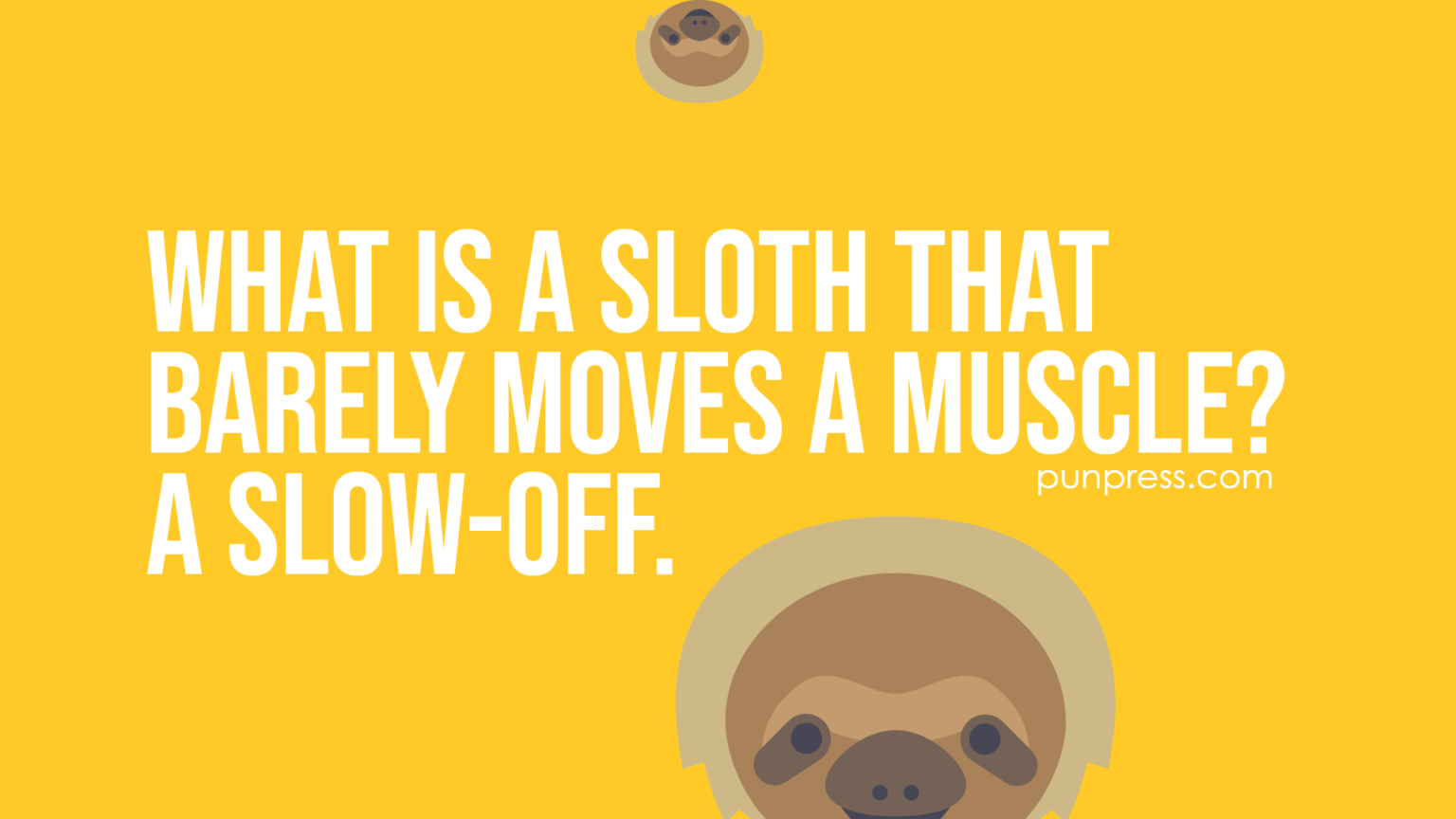 50 Sloth Puns That Will Slowly Make You Laugh - PunPress