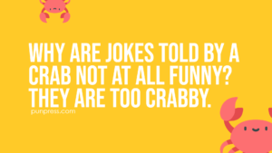 51 Crab Puns You Shell Fall in Love With - PunPress