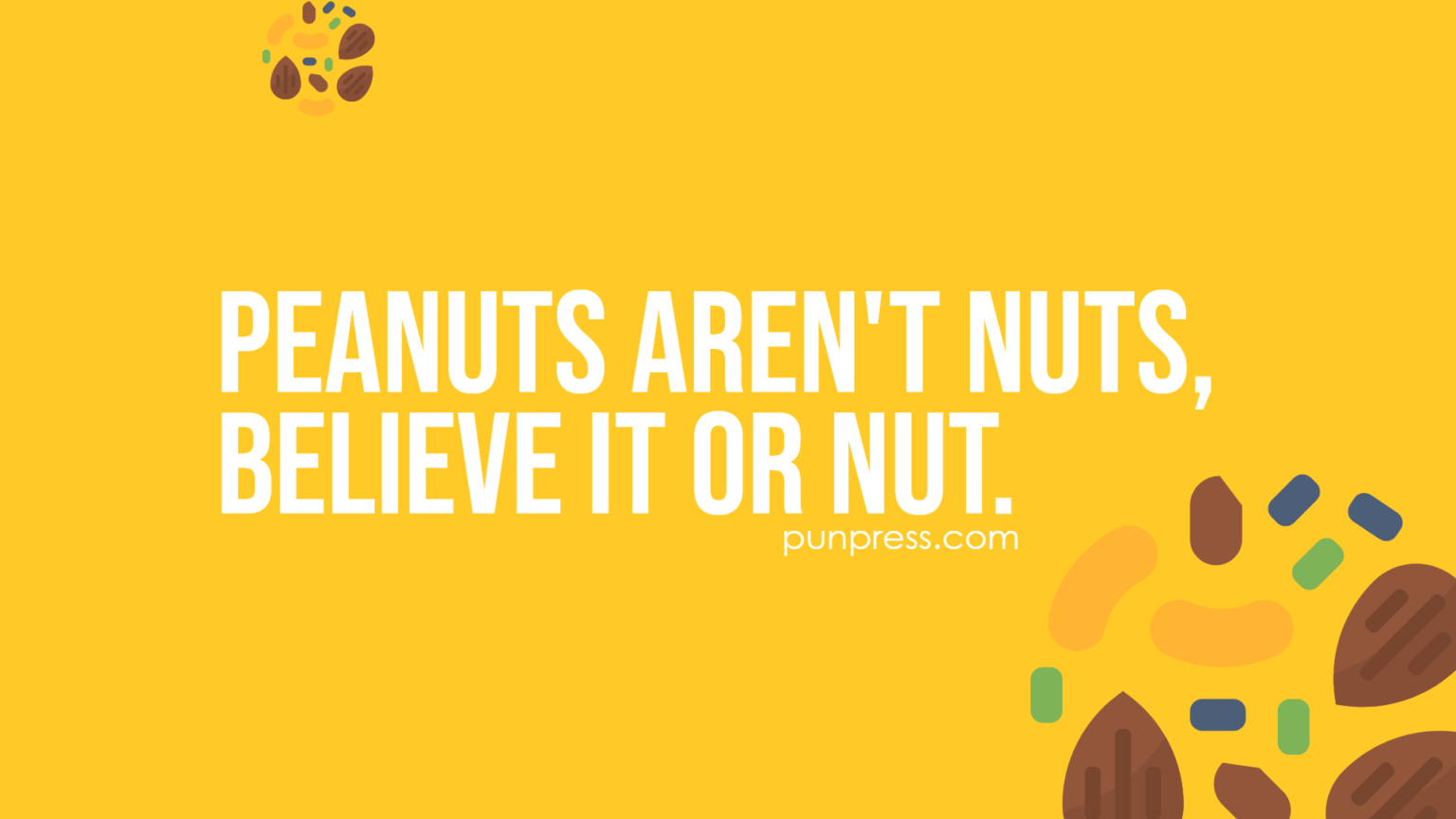 50 Nut Puns That Are Quite Nutty   PunPress