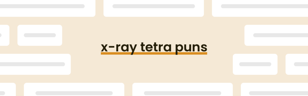 X-ray Tetra Puns - Best X-ray Tetra Puns for 2024 - PunPress